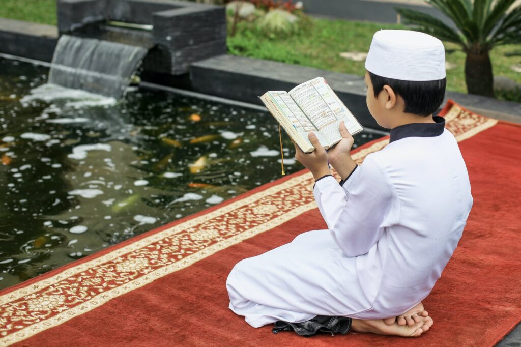 دار المنال || المحاسبة اليومية